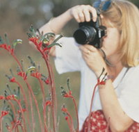 Gingin Cemetery - Accommodation Yamba