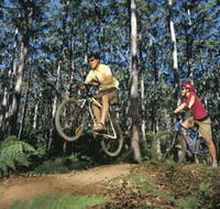 Leeuwin-Naturaliste National Park - Cowaramup - Accommodation Yamba