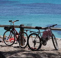 Parker Point Marine Snorkel Trail - Accommodation Yamba