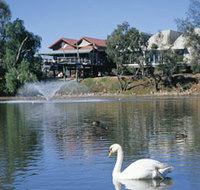 White Swans - Accommodation Yamba