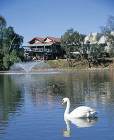 White Swans - Accommodation Yamba 0