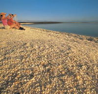 Shell Beach - Accommodation Yamba
