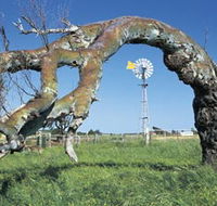 Greenough Leaning Trees - Accommodation Yamba