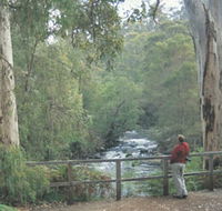 Cascades - Accommodation Yamba