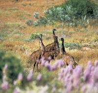 Jurabi Coastal Reserve - Accommodation Yamba