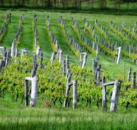 Sienna Estate Winery - Accommodation Yamba