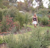 The Mythic Mazes - Accommodation Yamba