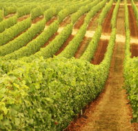 Cullen Wines - Accommodation Yamba