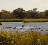 Anytime Adventures in Mandurah  the Peel Region - Accommodation Yamba