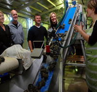 Eyre Peninsula's Seafood Trail - Accommodation Yamba