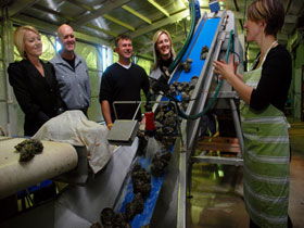 Eyre Peninsula's Seafood Trail - Accommodation Yamba 0