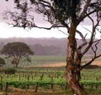 Yangarra Estate Vineyard - Accommodation Yamba