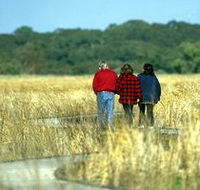 Onkaparinga River Recreation Park - Accommodation Yamba