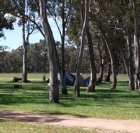 Black Cockatoo Bush Camp - Accommodation Yamba