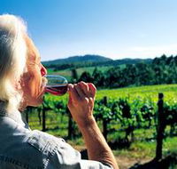 Ashton Hills Vineyard - Accommodation Yamba