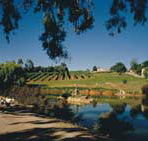 Mount Hurtle Winery home of Geoff Merrill Wines - Accommodation Yamba