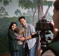 Cleland Wildlife Park - Accommodation Yamba