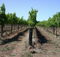 Temple Bruer Winery - Accommodation Yamba