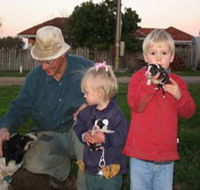 Orrie Cowie Merino and Poll Merino Stud - Accommodation Yamba