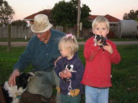 Orrie Cowie Merino And Poll Merino Stud - Accommodation Yamba 0