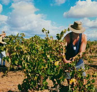 Torbreck Vintners - Accommodation Yamba