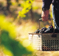 Burge Family Winemakers - Accommodation Yamba