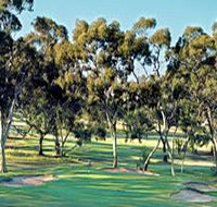 Tanunda Pines Golf Club - Accommodation Yamba