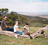 Bridle Track - Accommodation Yamba