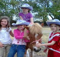 Amberainbow Pony Rides - Accommodation Yamba