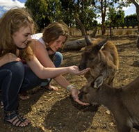 Kangaroo Island Wildlife Park - Accommodation Yamba