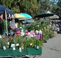 Meadows Monthly Market - Accommodation Yamba