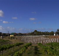 Deep Creek Wines and Alpacas - Accommodation Yamba