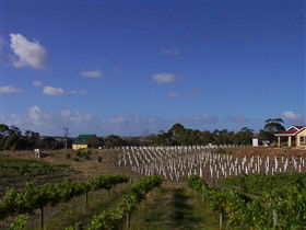 Deep Creek Wines And Alpacas - Accommodation Yamba 0