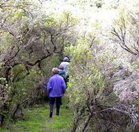 Jack And Hilda McArthur Walk - Accommodation Yamba