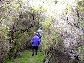 Jack And Hilda McArthur Walk - Accommodation Yamba 0