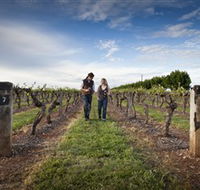 Coonawarra Wineries Walking Trail - Accommodation Yamba
