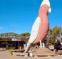 The Big Galah - Accommodation Yamba