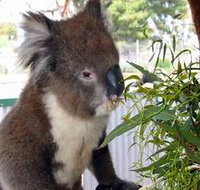 Glen-Forest Tourist Park - Accommodation Yamba