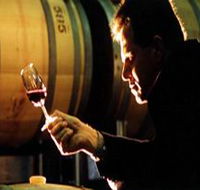 Salena Estate Wines - Accommodation Yamba