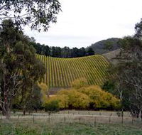 Mt Bera Vineyards - Accommodation Yamba
