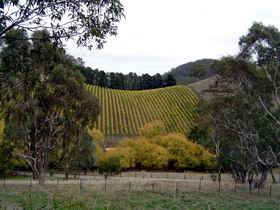 Mt Bera Vineyards - Accommodation Yamba 0