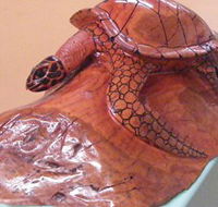Ants Redgum Gallery - Accommodation Yamba