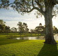 Serafino Wines - Accommodation Yamba