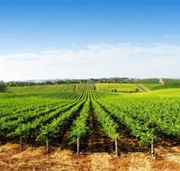 Aldinga Bay Winery - Accommodation Yamba