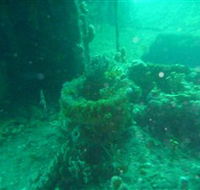 Wallaroo Scuba Club - Accommodation Yamba