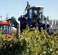 Ballast Stone Estate Wines Pty Ltd - Accommodation Yamba