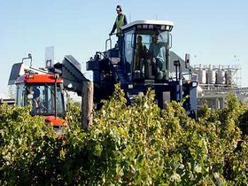 Ballast Stone Estate Wines Pty Ltd - Accommodation Yamba 0