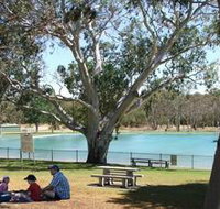 Naracoorte Nature Park and Swimming Lake - Accommodation Yamba