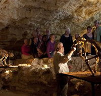 Naracoorte Caves National Park - Accommodation Yamba