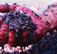 Rusden Wines - Accommodation Yamba